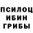 Псилоцибиновые грибы Psilocybe Kama Nikulya