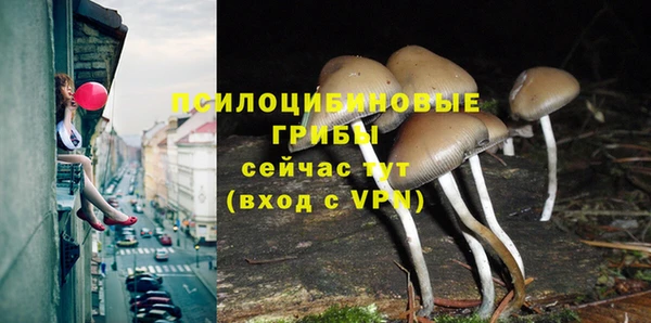 а пвп мука Инта
