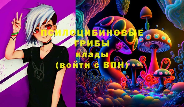 а пвп мука Инта