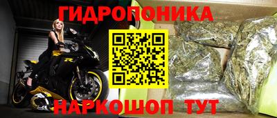 spice Иваново