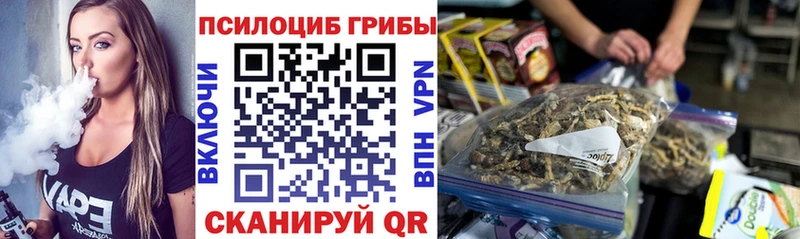 где продают   Усть-Кут  Галлюциногенные грибы Psilocybe 