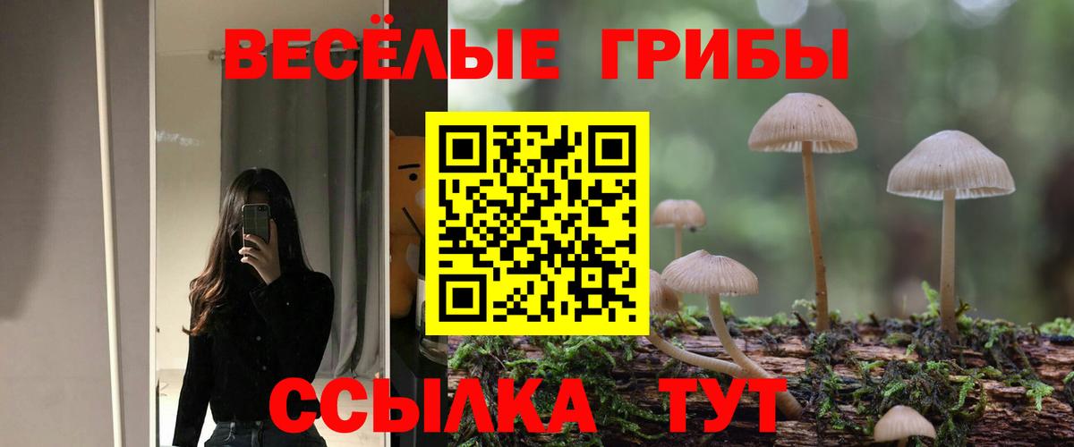 купить наркотики цена  Псилоцибиновые грибы Magic Shrooms  Вход с VPN  Усть-Кут 